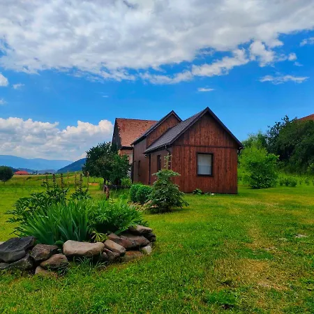 Organicle Lodge Sincraieni Exterior photo