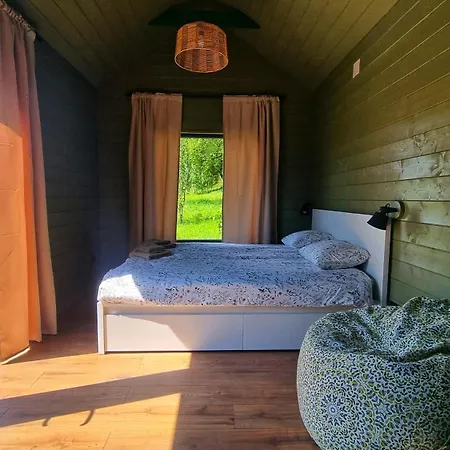 Organicle Lodge Sincraieni Exterior photo